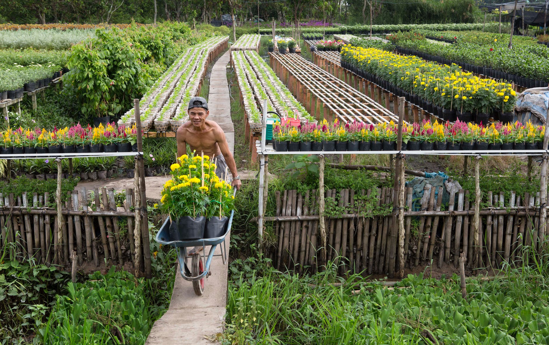 man pushing a wheelbarrow